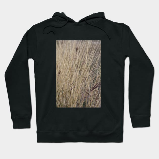 prairie photo Hoodie by ScrambledPsychology